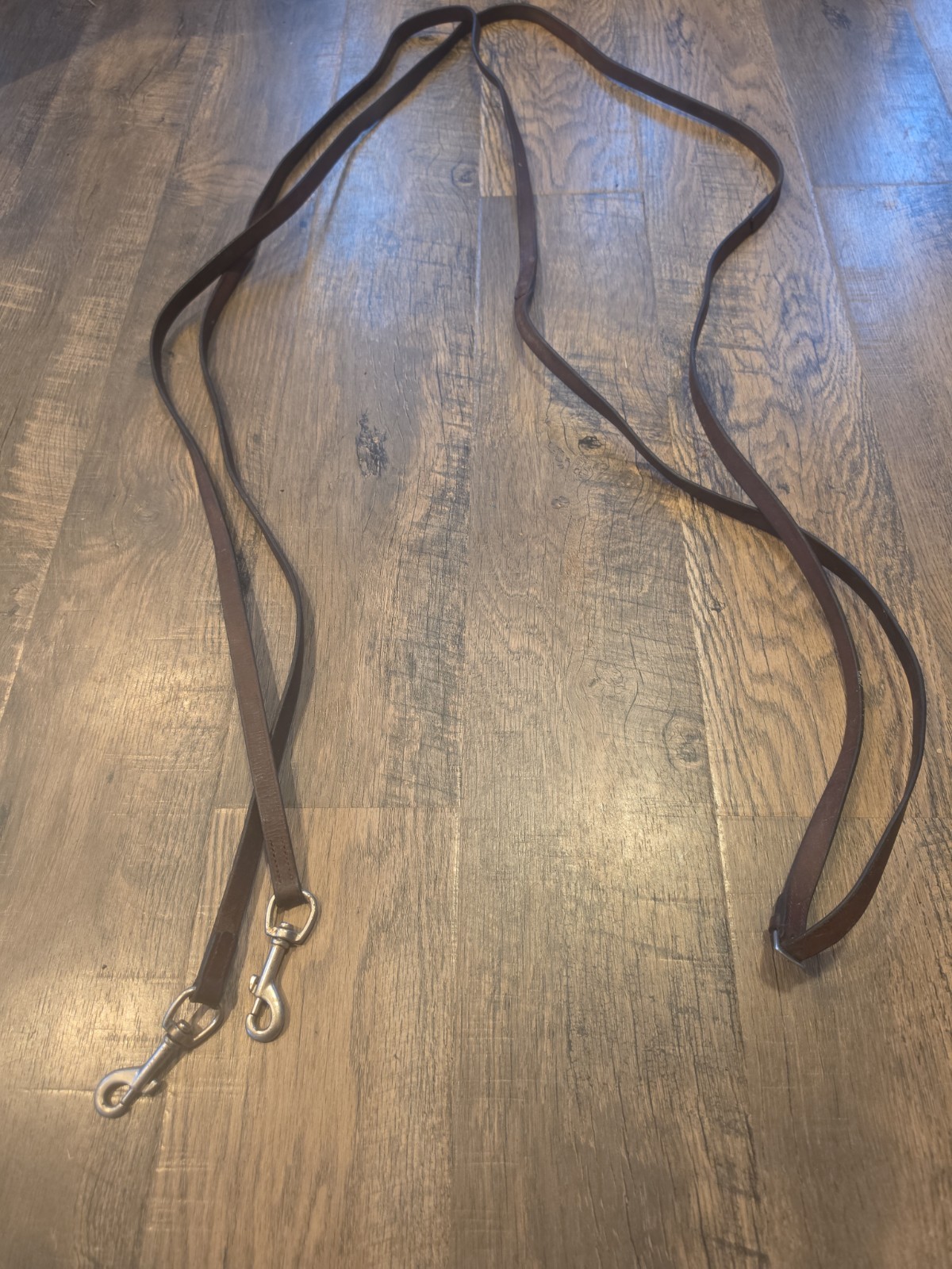 Horse Reins