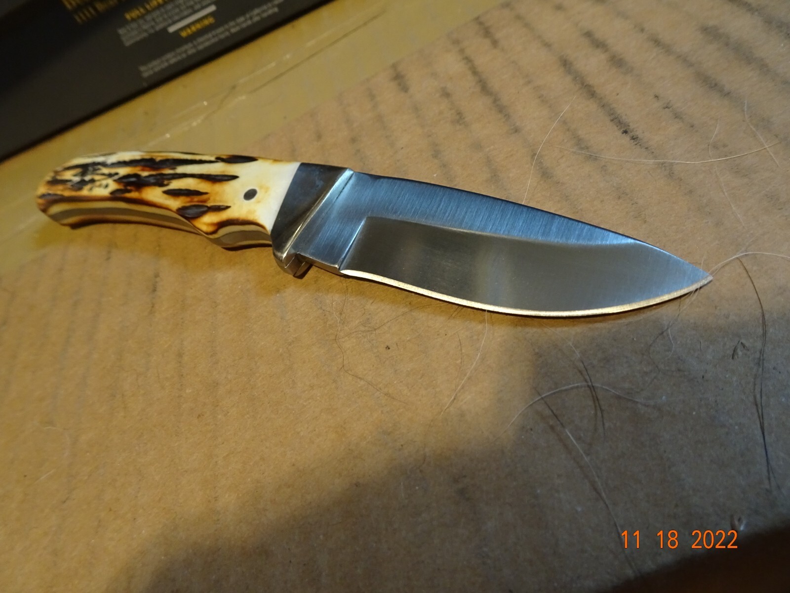 BEAR & SONS CUTLERY 7" DROP POINT HUNTER INDIA STAG BONE HANDLE LEA SH MADE USA