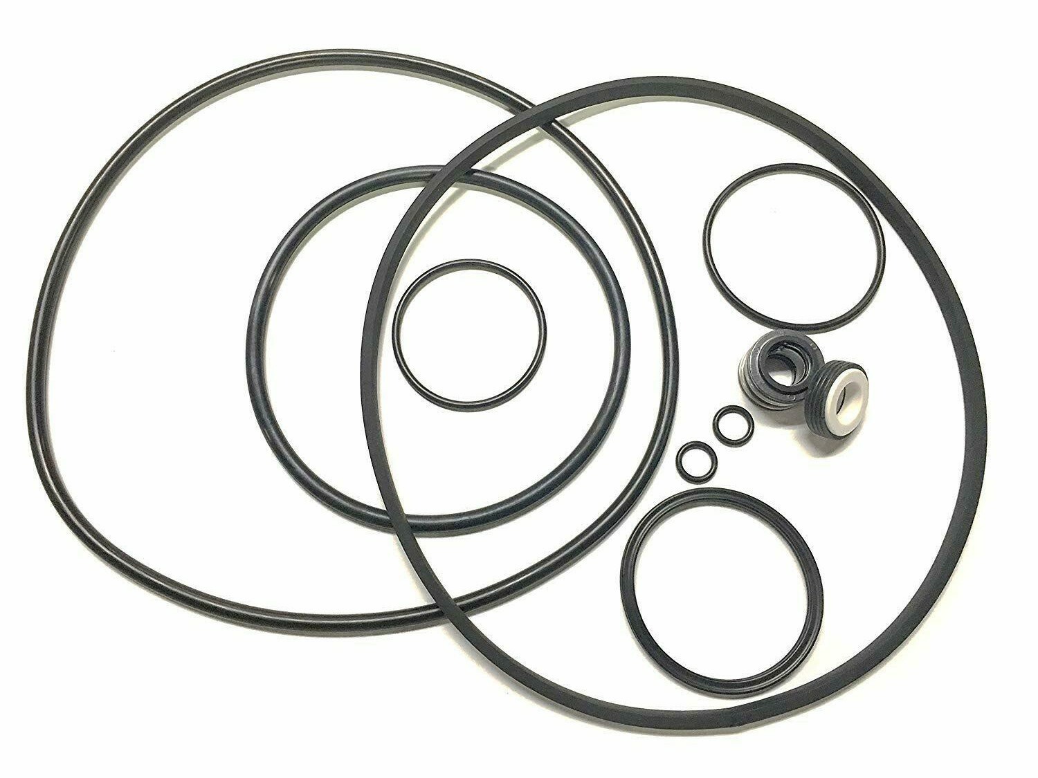 Fits All Models Pentair CHALLENGER Pool Pump Shaft Seal O-Ring Rebuild Kit