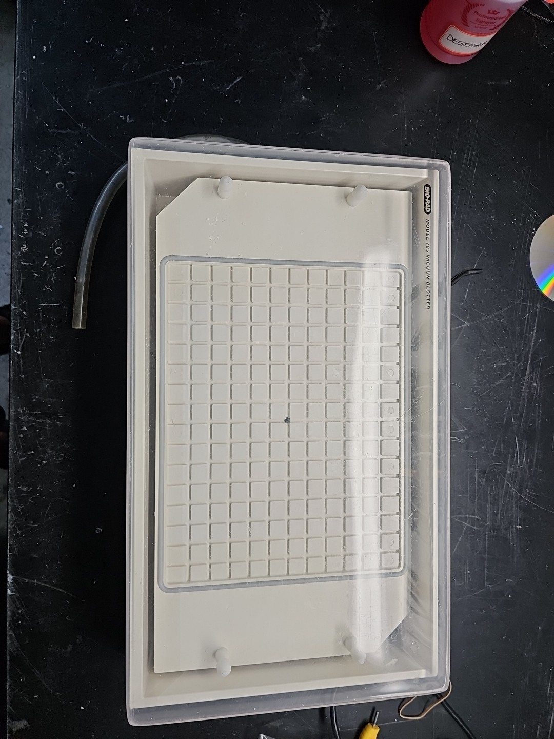 Bio-Rad Model 785 Vacuum Blotter