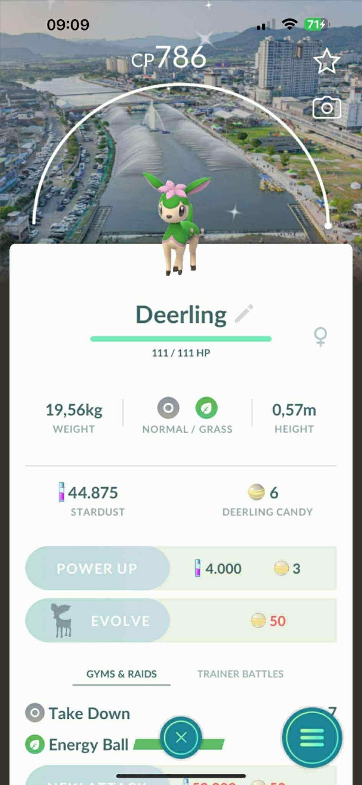 Shiny Deerling Summer Water Festival 2025 Background - P T C 0R Trade
