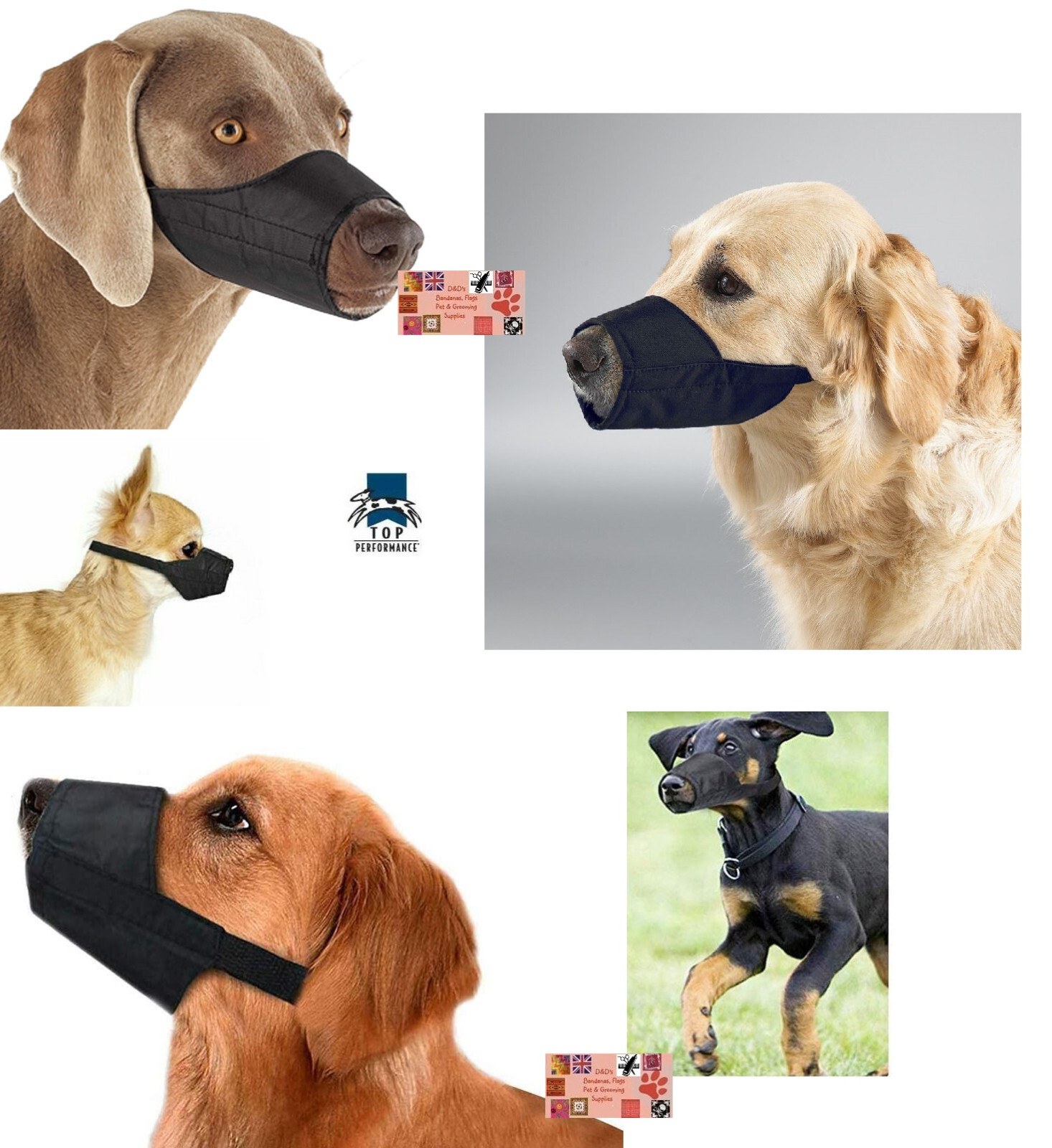 9 pc GROOMER VET SET DOG MUZZLE Comfort LINED Quick-FIT ADJUSTABLE TRAINING
