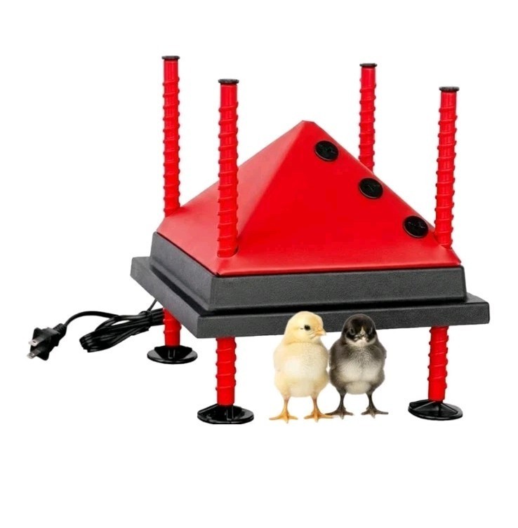 RentACoop 10"x10" Chick Heating Plate with Anti-Roost Cone, Fits Up To 15 Chicks