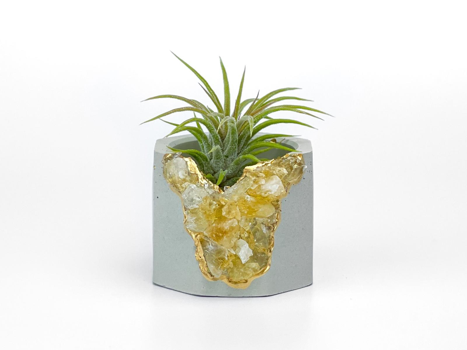 Raw Citrine Succulent Geode Planter Crystal Air Plant Holder