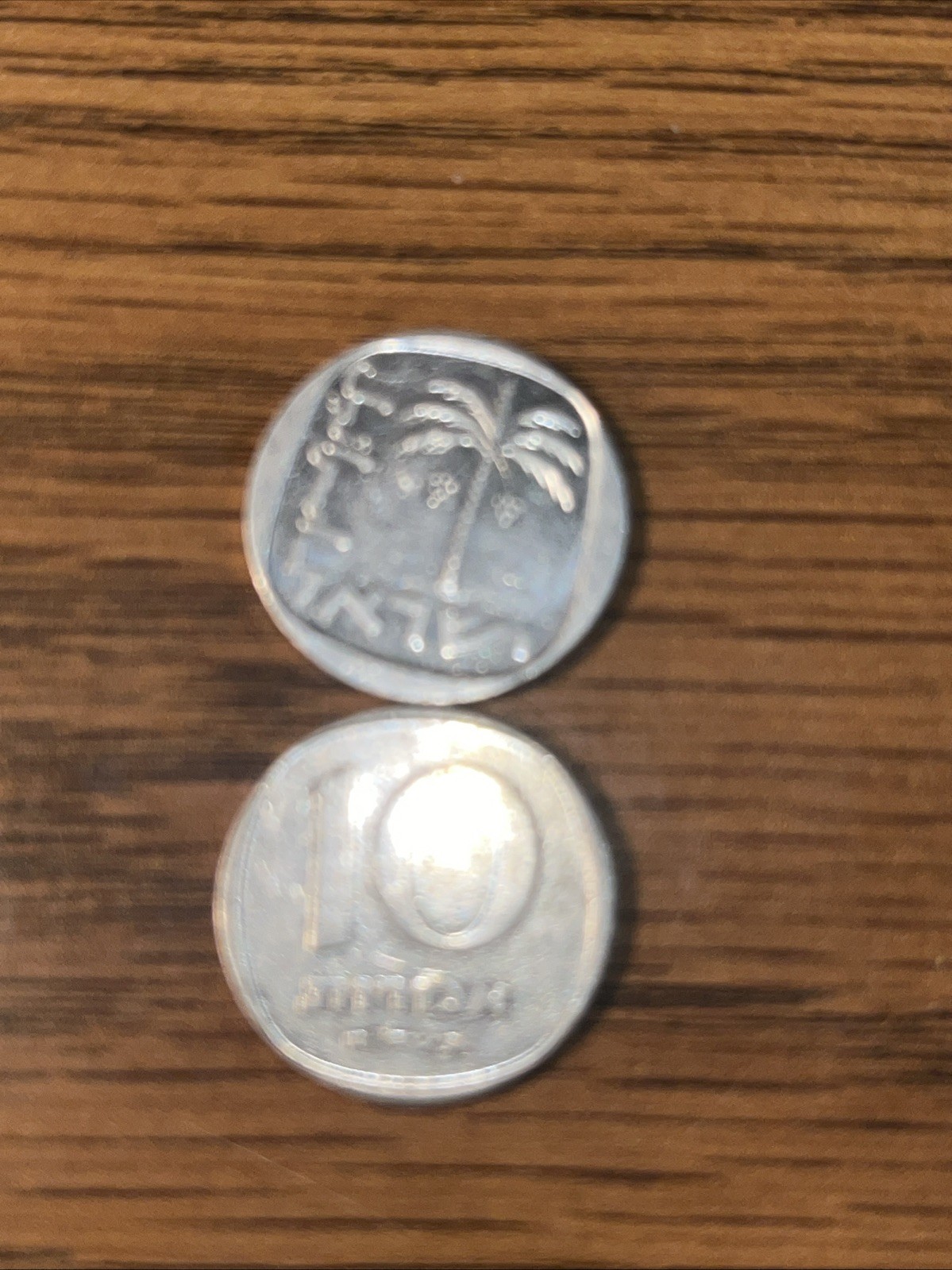2-Israel 10 Agorot New Sheqel (palm tree) Coin