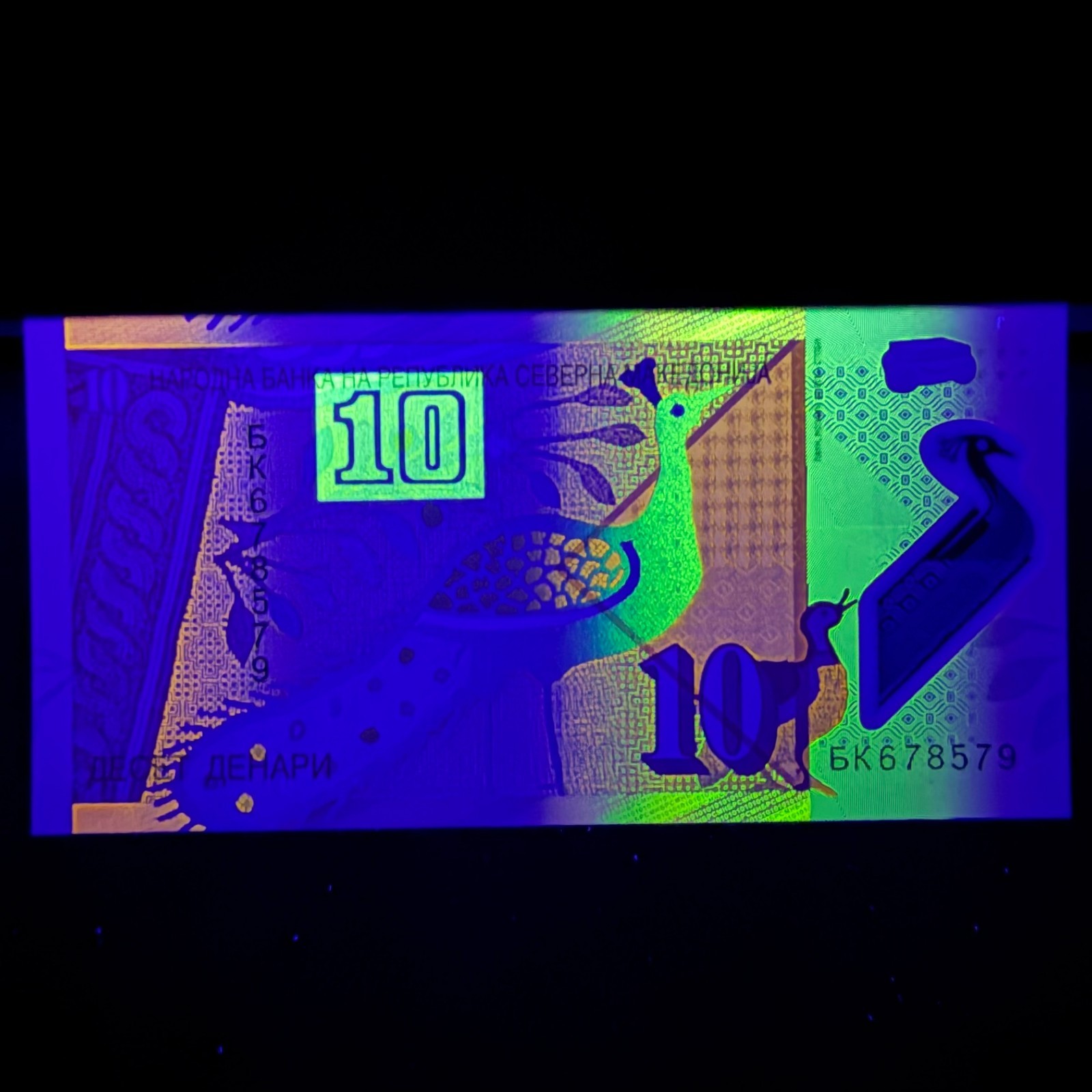 Macedonia Denar Banknote First Polymer Macedonia Currency Peacock Under UV Light
