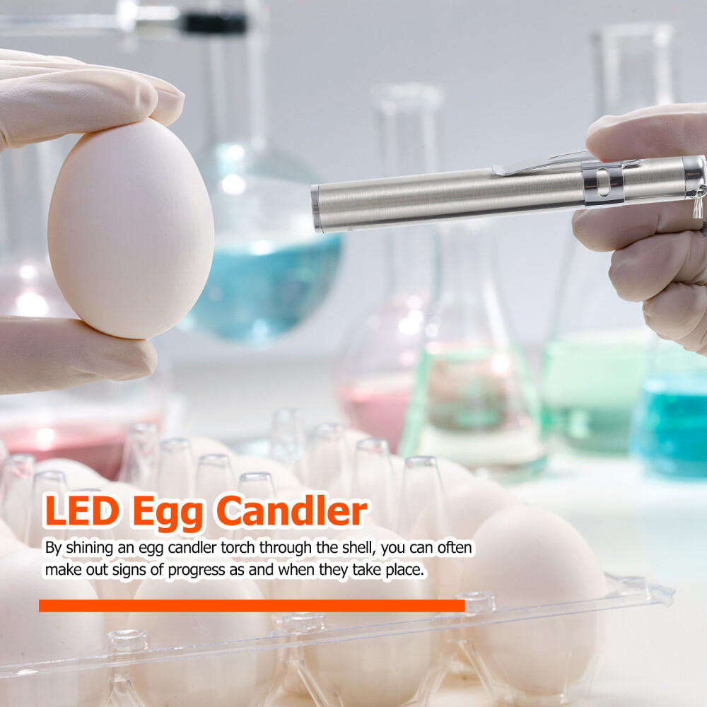 Egg Candling Lamp Egg Checker Light Egg Candeling Light Eggs Incubator Lamp