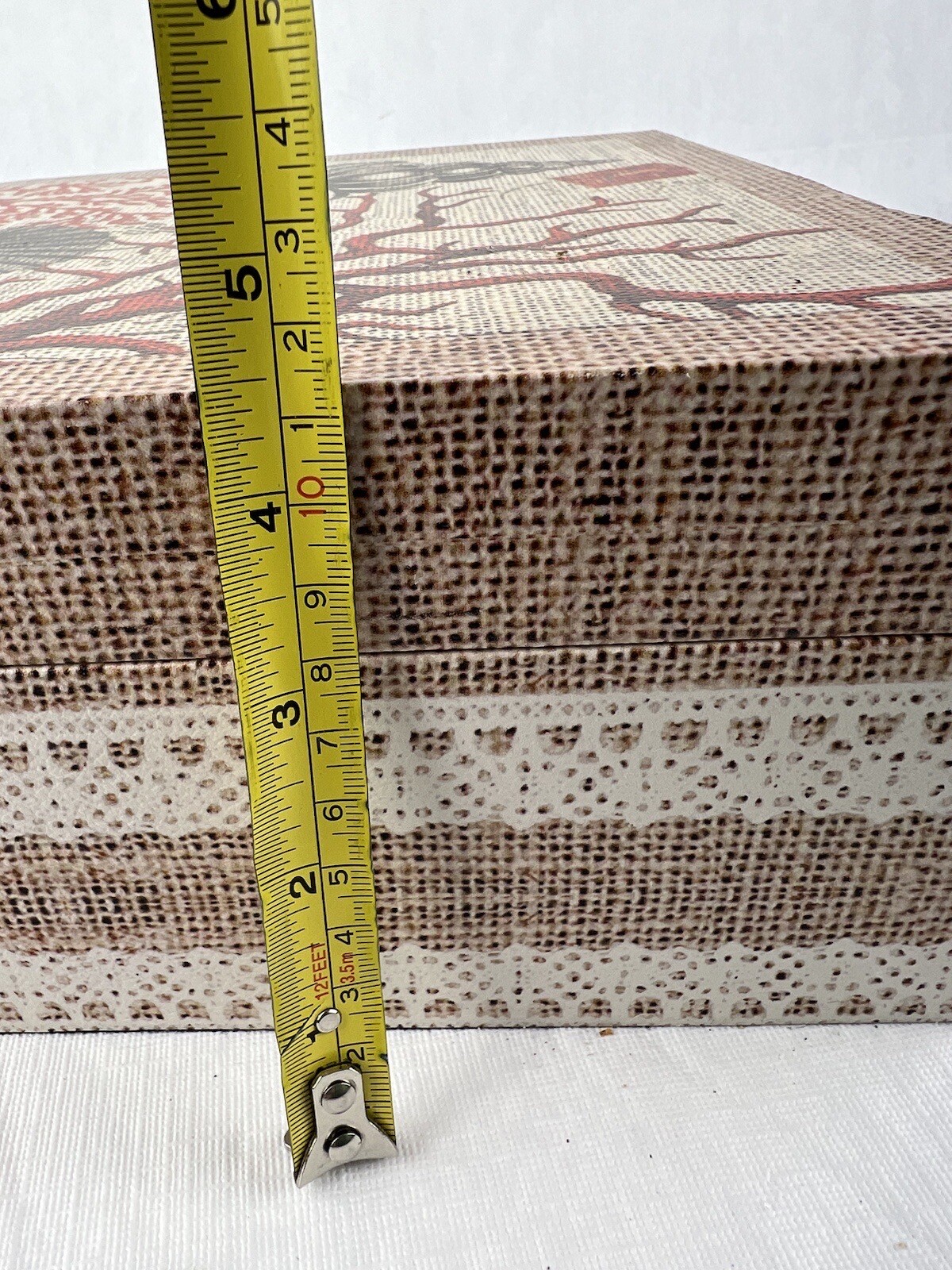 9.5x9.5x4.75 Trinket Box Tree Scallop Sea Shell Hinged Hook Closure