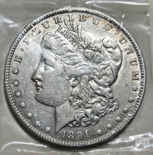 1891 MORGAN SILVER DOLLAR - XF/AU