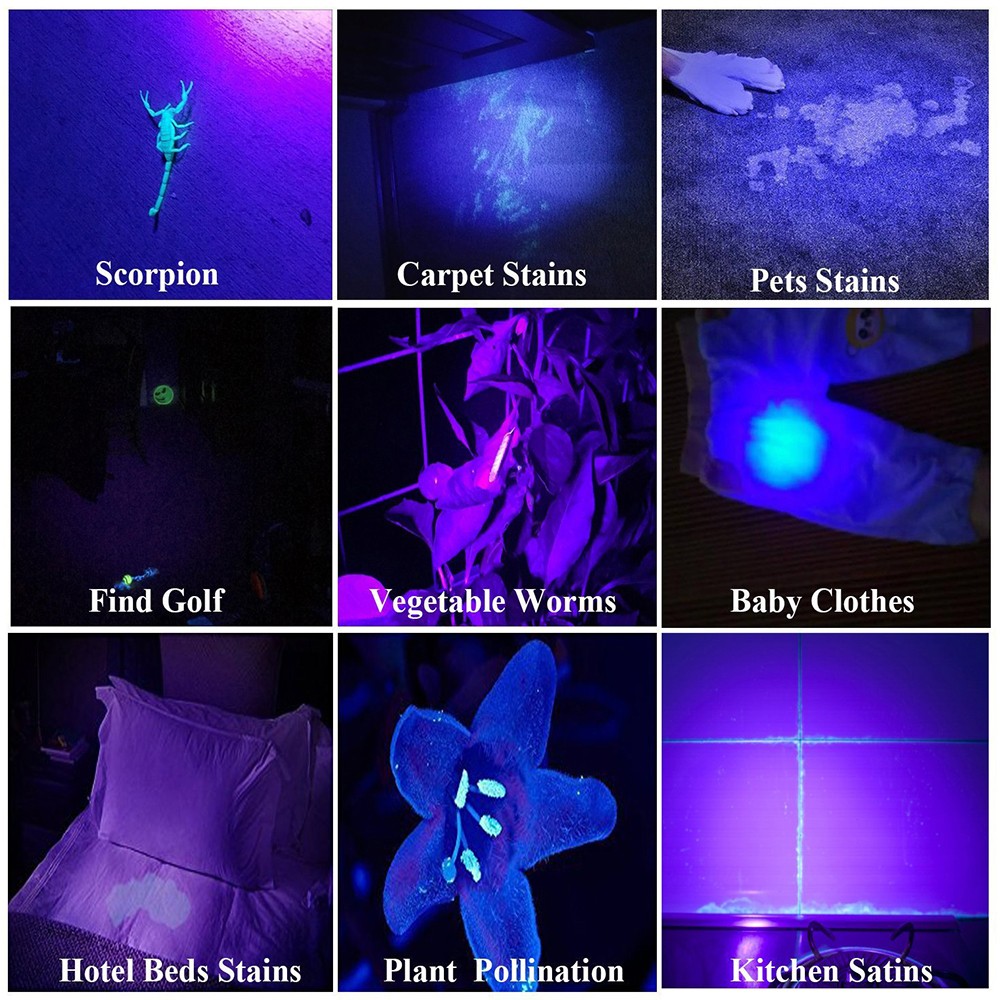 Mini 395nm UV LED Flashlight Light Penlight Black Light Clip Work Light Torch US