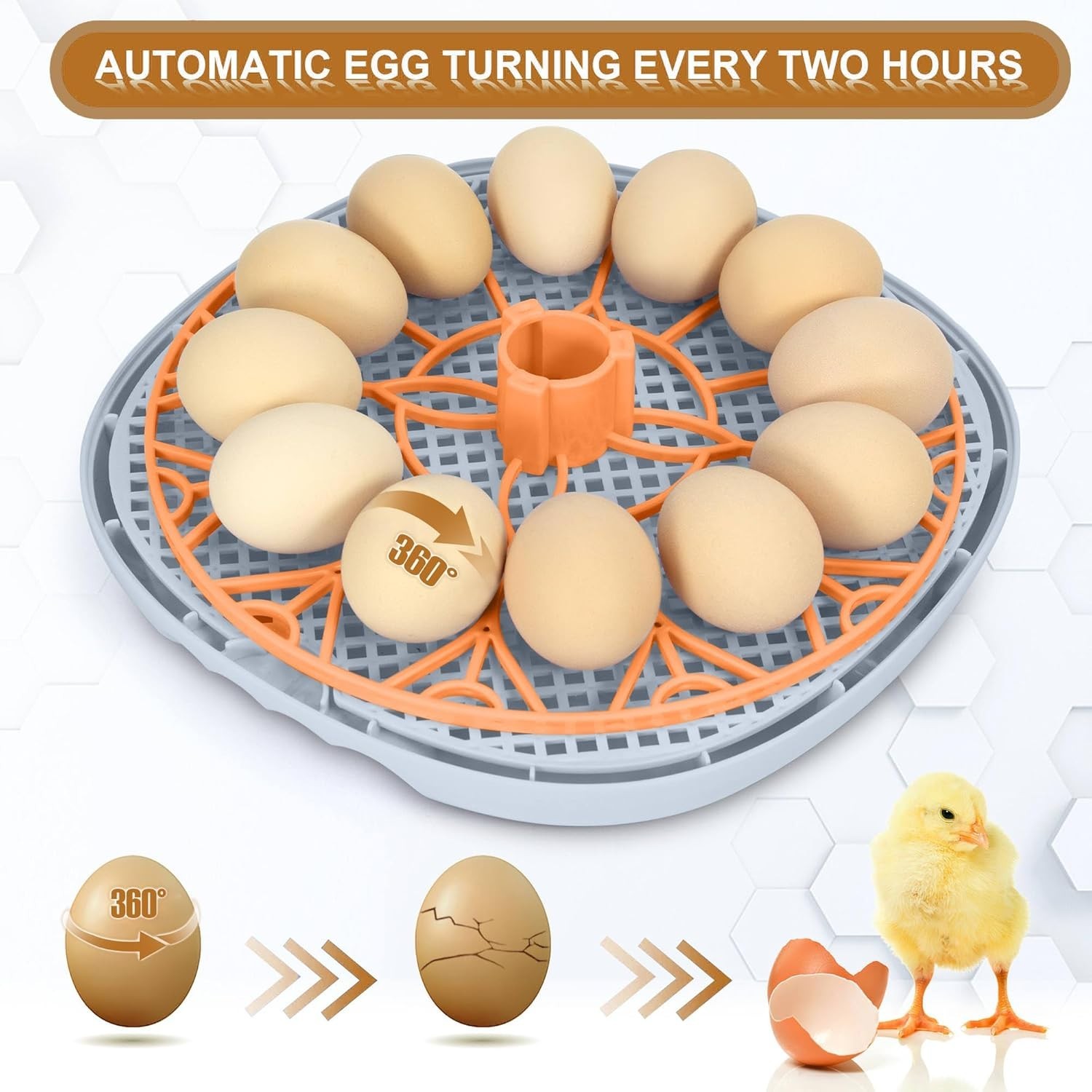 Smart 12-Egg Incubator with Automatic Turner & Temperature Control - Mechachick