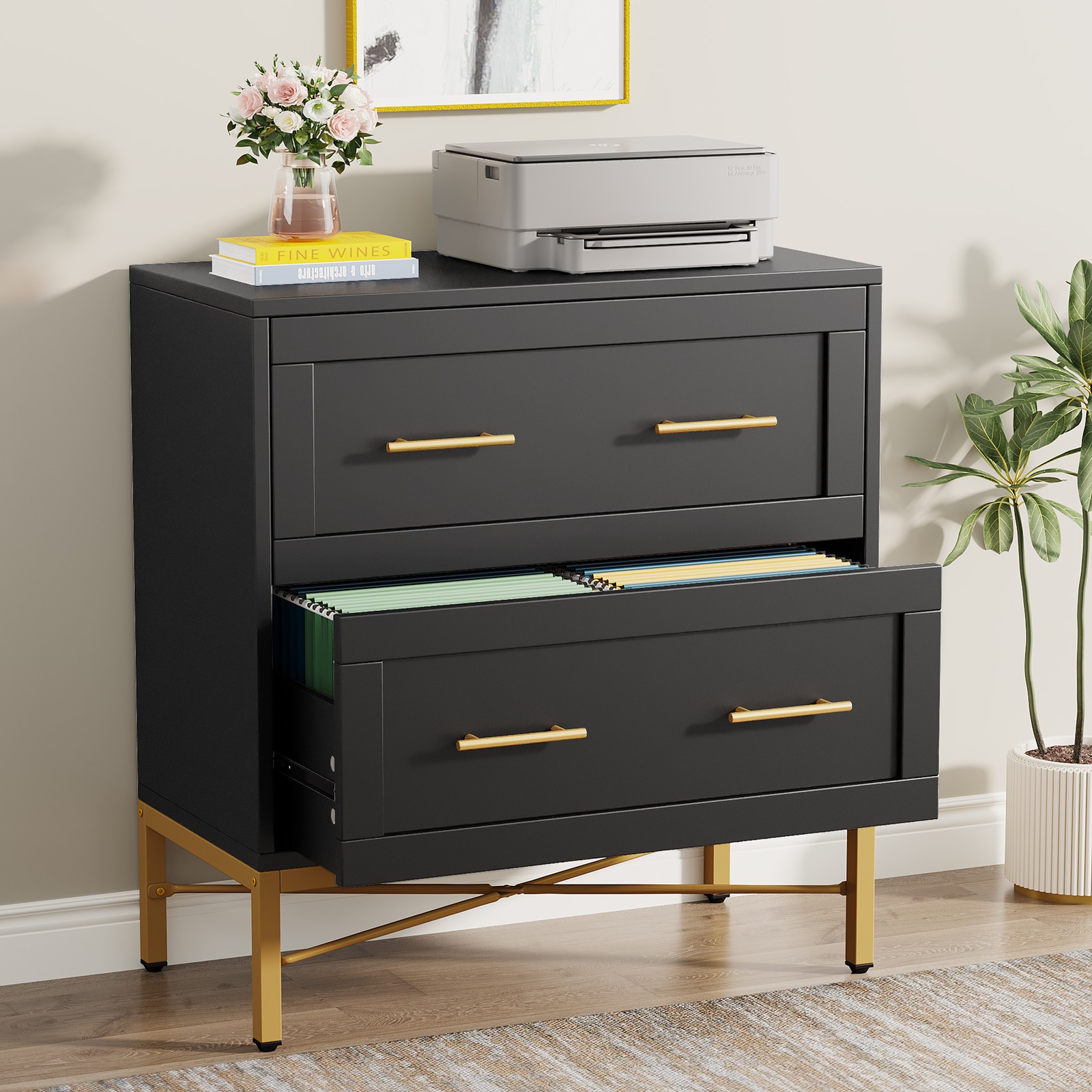 Modern 2 Drawer File Cabinet,  Lateral Filing Cabinet for Letter Legal A4 Size