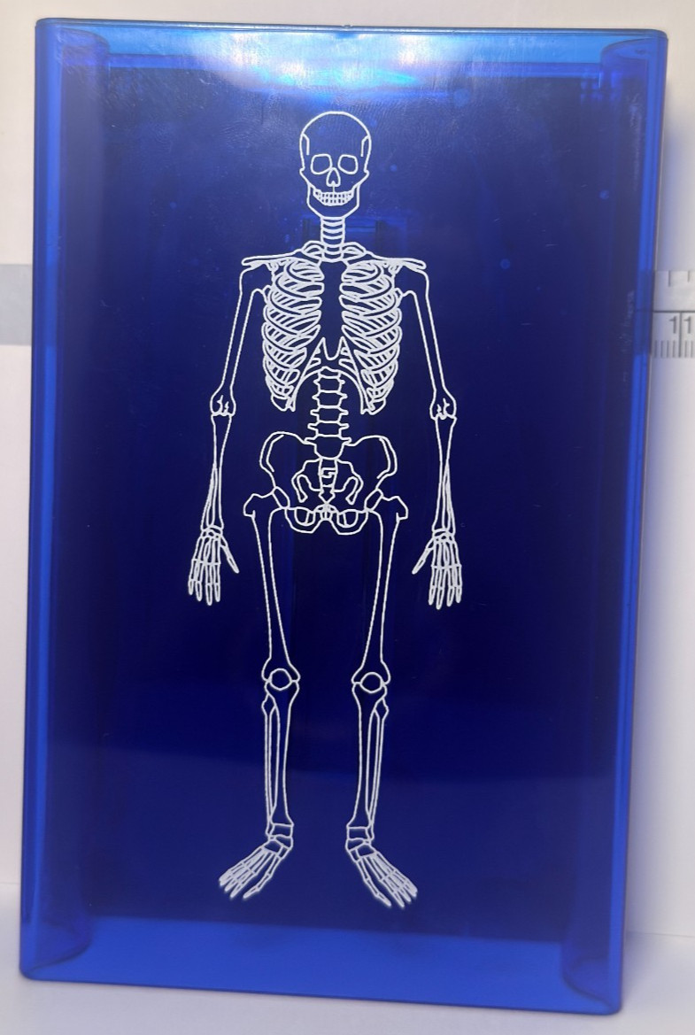 Learning Resources Skeleton Stamp Science Anatomy Classroom Homeschool