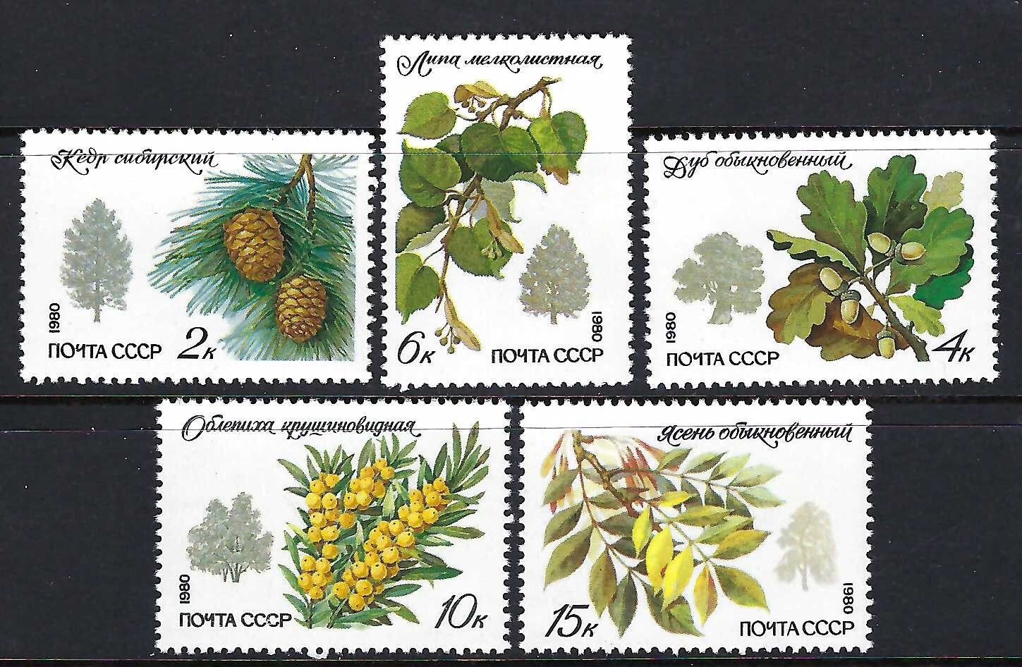 Russia - 1980 5v.  MNH Flora Siberian Plants Flowers