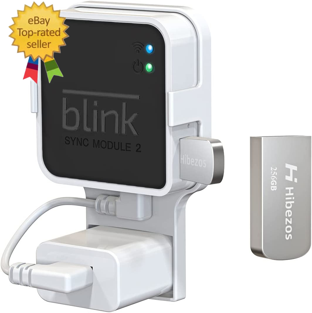 256GB USB Flash Drive and Outlet Mount for Blink Sync Module 2, save Space Easy