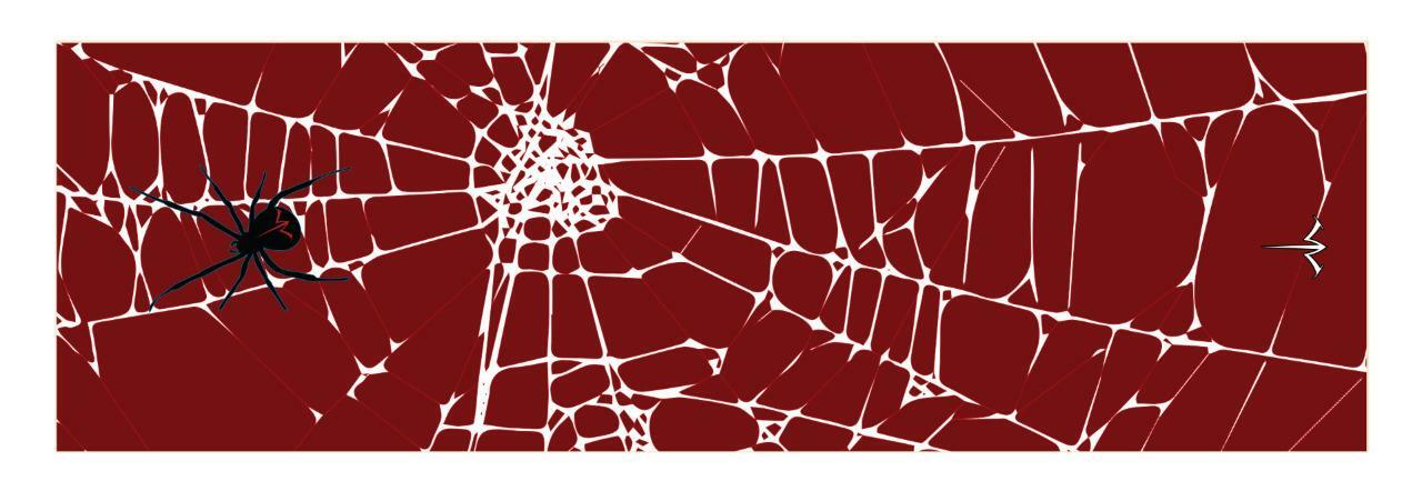 White Water Archery Black Widow Spider Web Red Stabilizer Wrap Protection