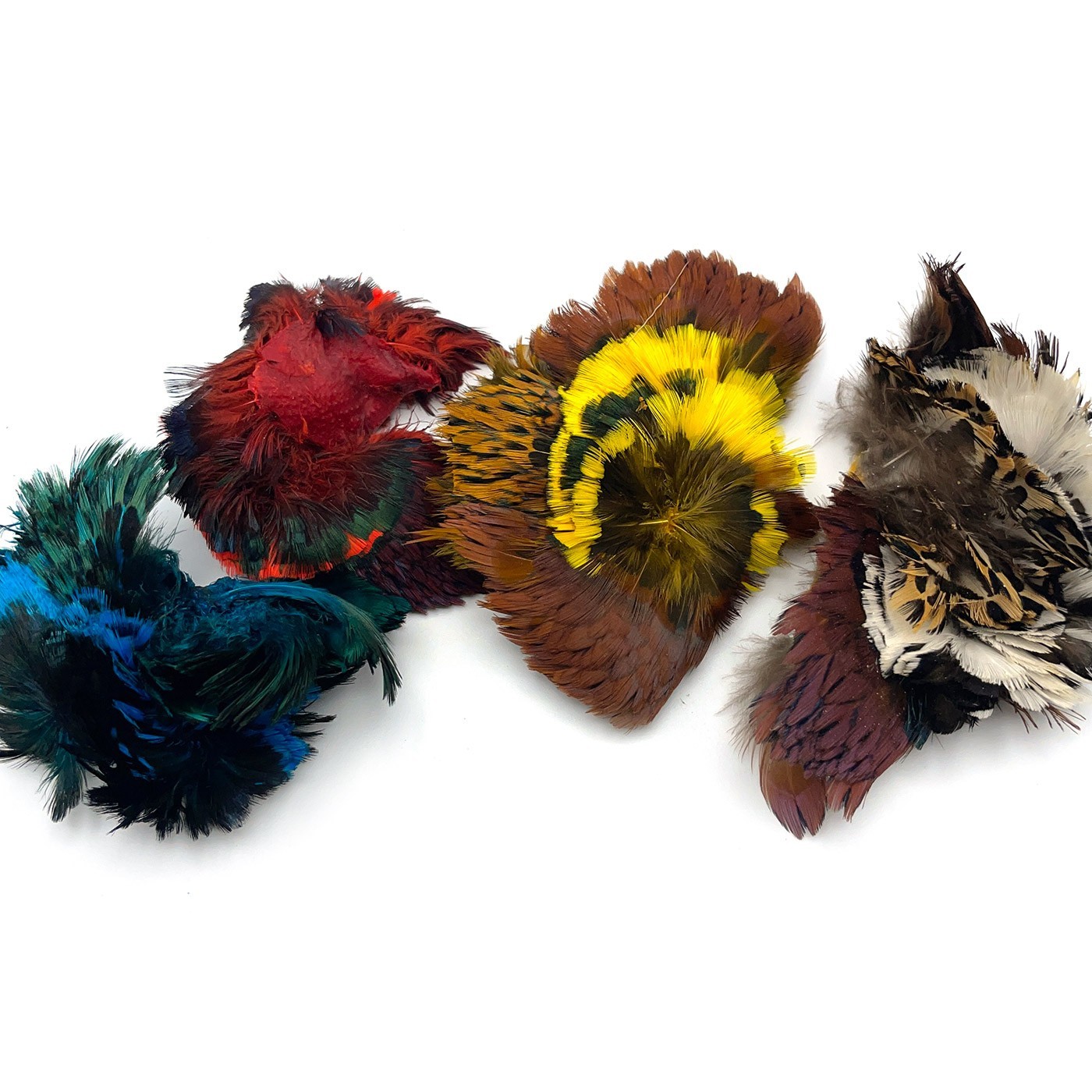 RINGNECK PHEASANT NECK PATCH - Fly Tying Feathers - 4 Colors Available NEW!