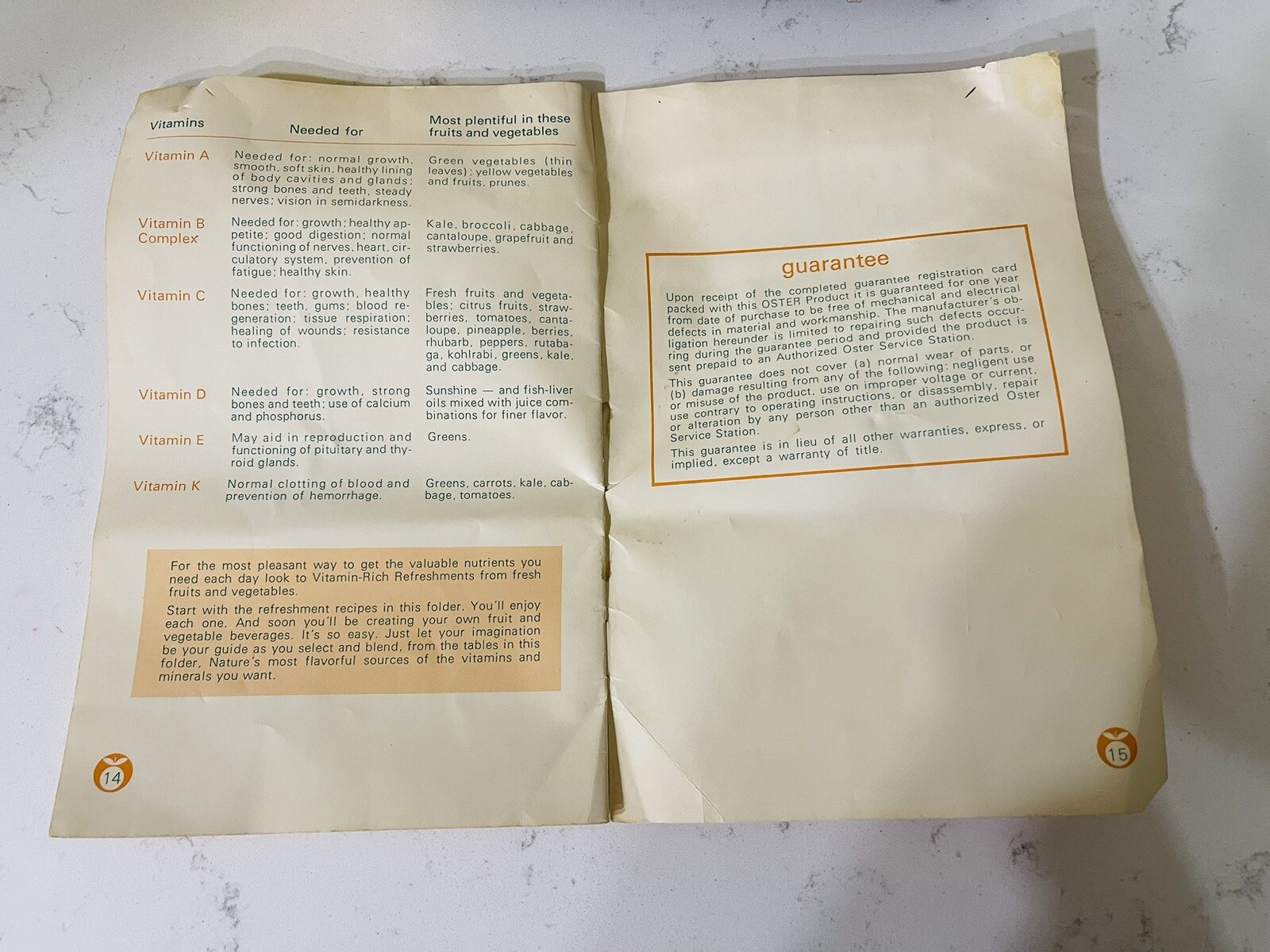 Vintage 70s Oster Model 362 Automatic Pulp Ejector Juicer Manual Cleaning Brush