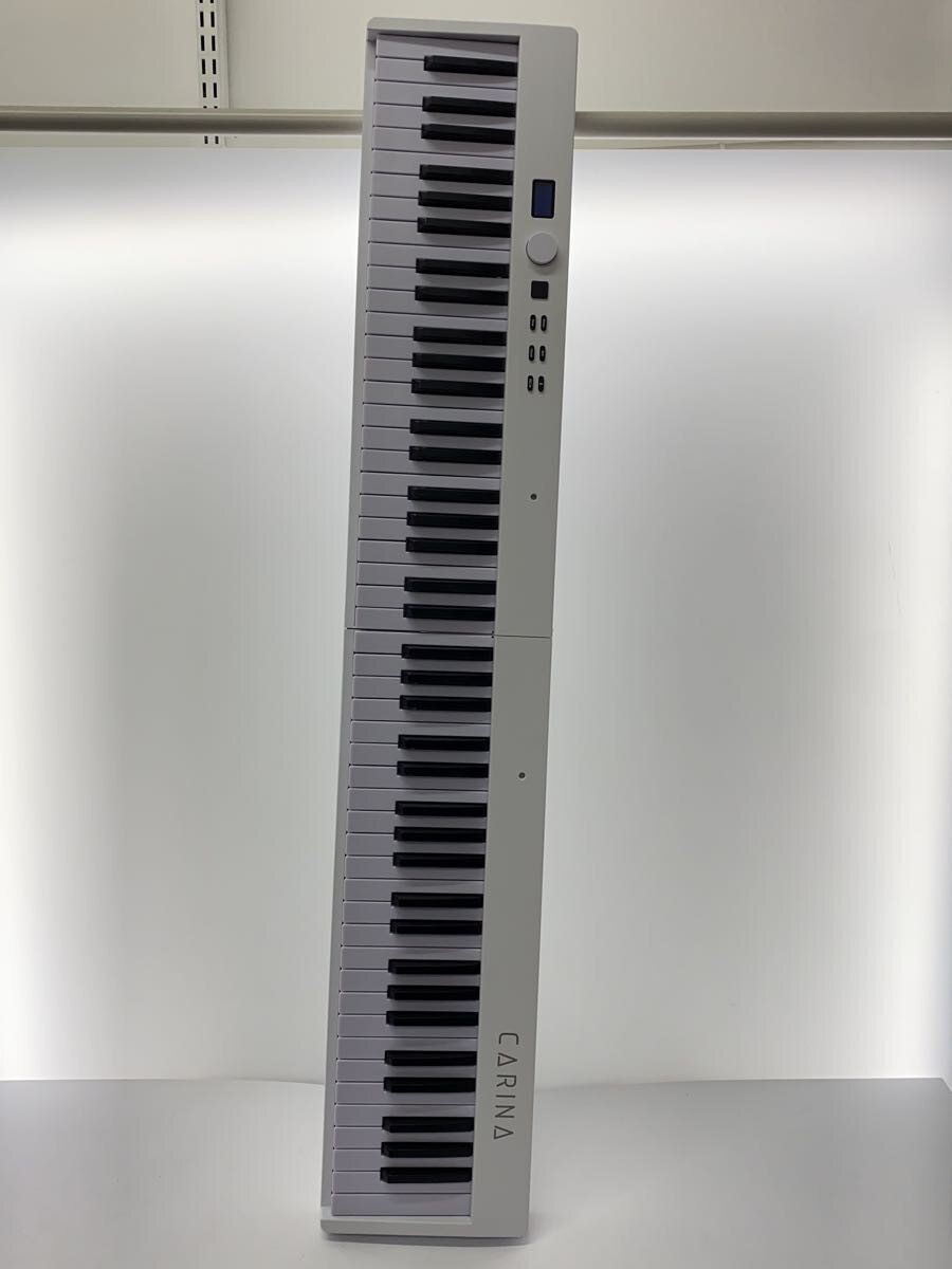 CARINA Electronic Piano Keyboard Used