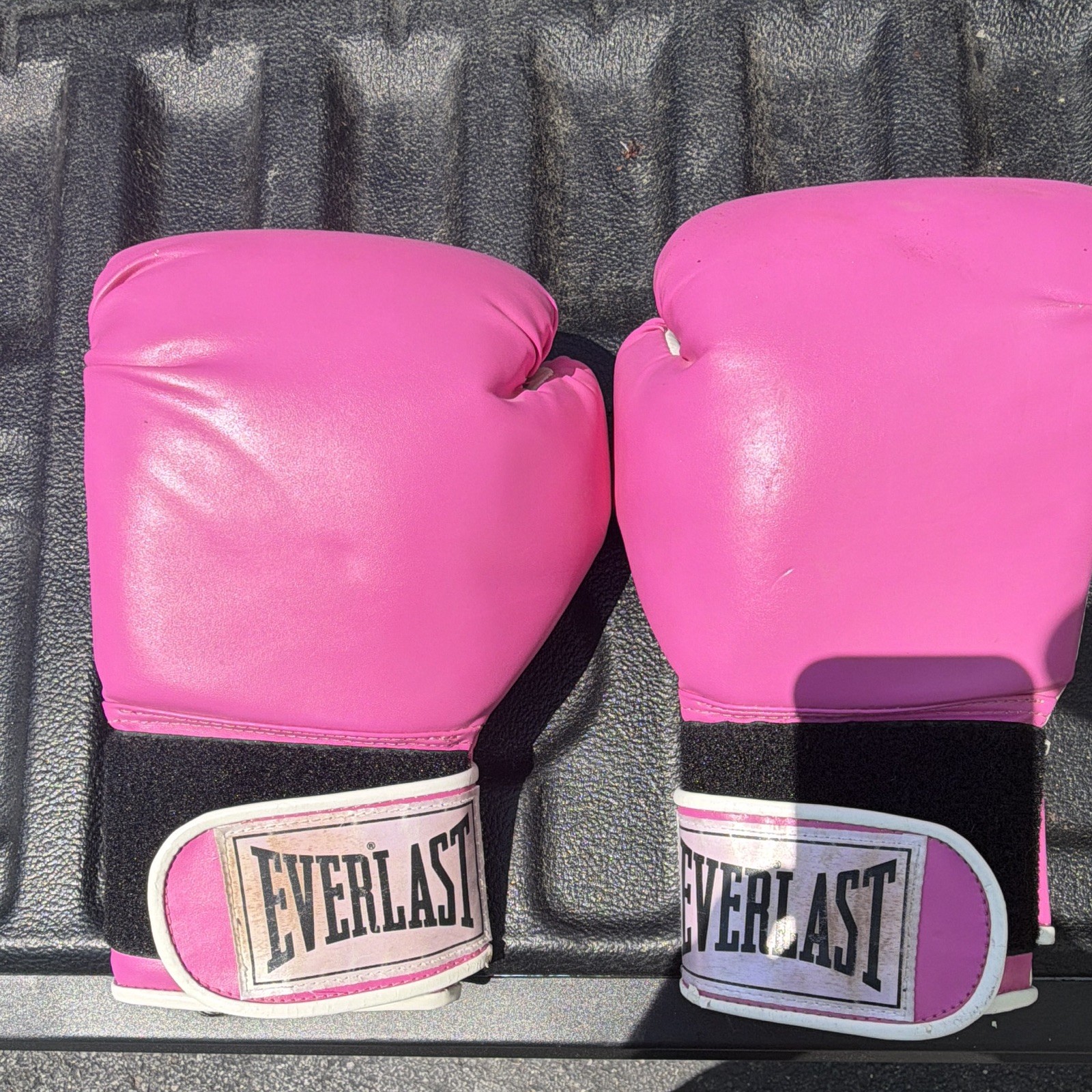 Everlast Pink Boxing Gloves Pair