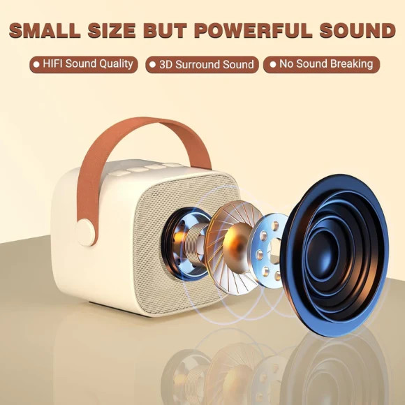 Mini Karaoke Machine with 2 Wireless Microphone, Bluetooth Speaker