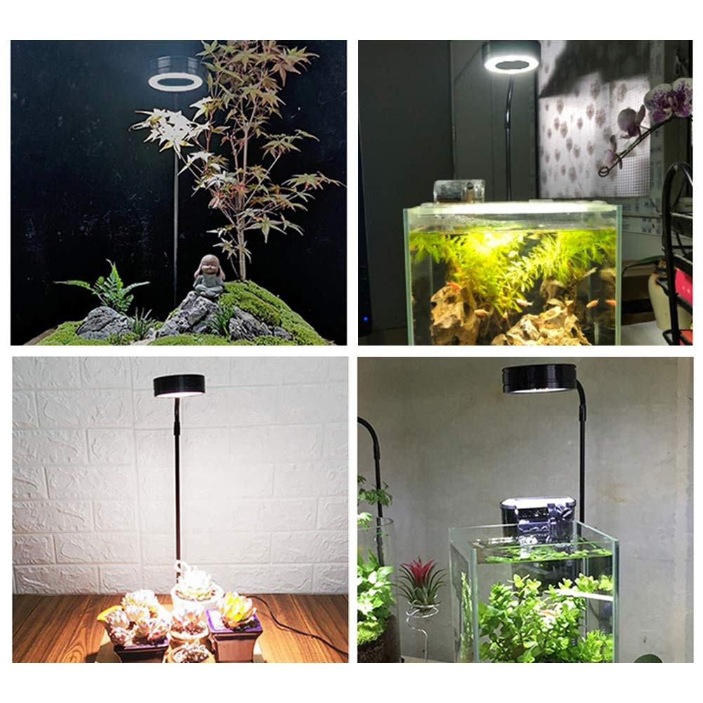 QWLWBU LED Aquarium Light 360 Degree Full 10w s / 6.69x7.28inch, White