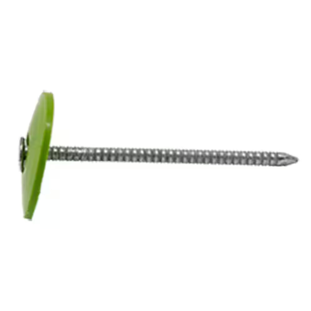 1 In. (2D) Electro Galvanized Ring Shank Nail with Plastic Cap (3000-Count)