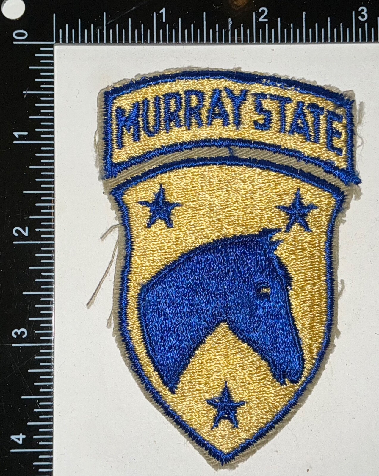 Murray State University Army Reserve Officer Training Corps ROTC Patch