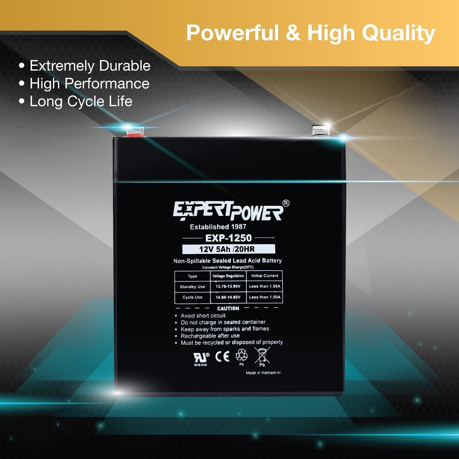 ExpertPower 12V 5AH SLA Battery Replacement for Enduring 6-DW-5