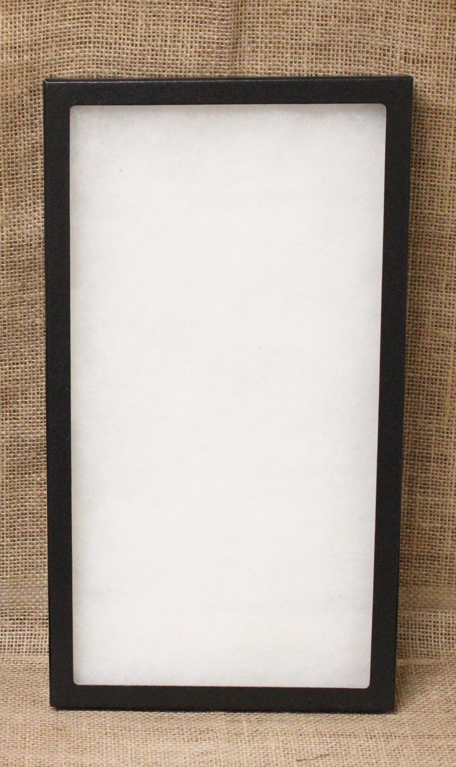 Collector's Display Case: 8 x 14 1/2 x 1" (Riker Type) - Package of 1