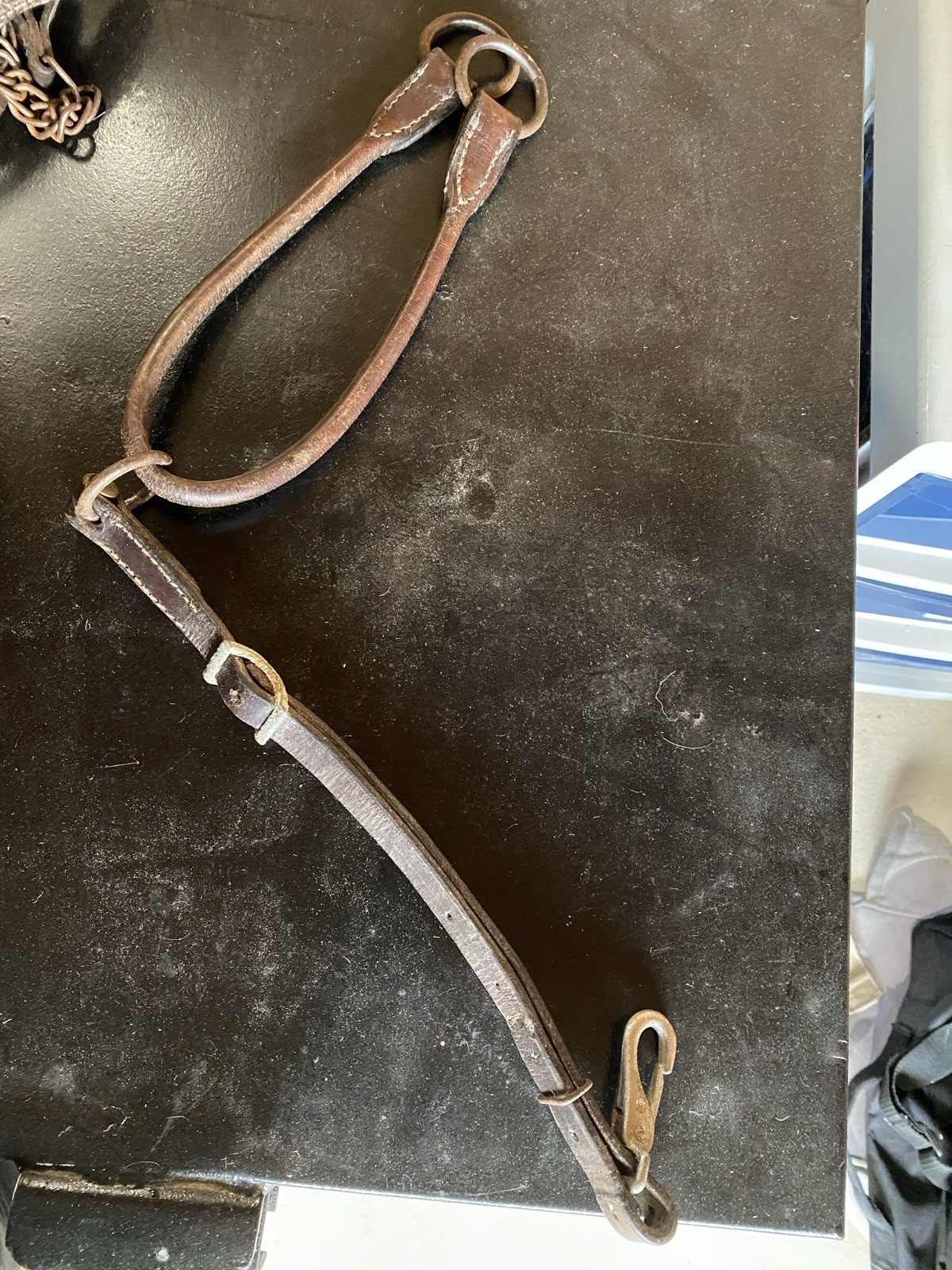 Western Training Fork Martingale Horse