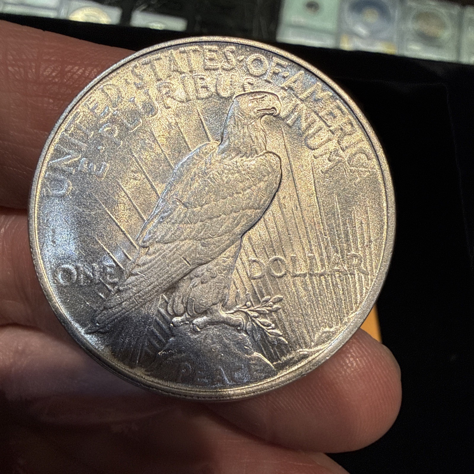 Lot Of 5 Peace Dollars