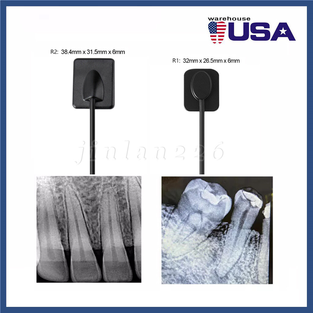 Dental X ray Sensor Digital Sensor Rayos Digital Imaging System Sensor w/ Holder