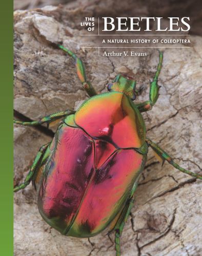 The Lives of The Natural World Ser.: Lives of Beetles : A Natural History of...