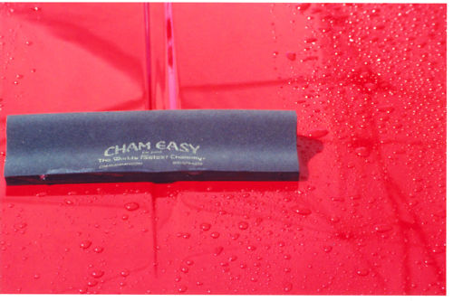 Pittsburgh Steeler Terrible Squeegee, Cham Easy/Shammy
