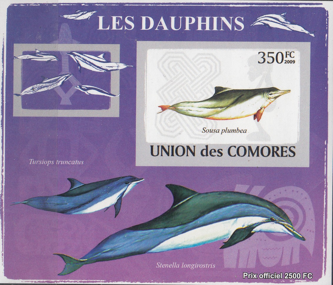 W COMORO Y2009 (52) (2v) DOLPHINS
