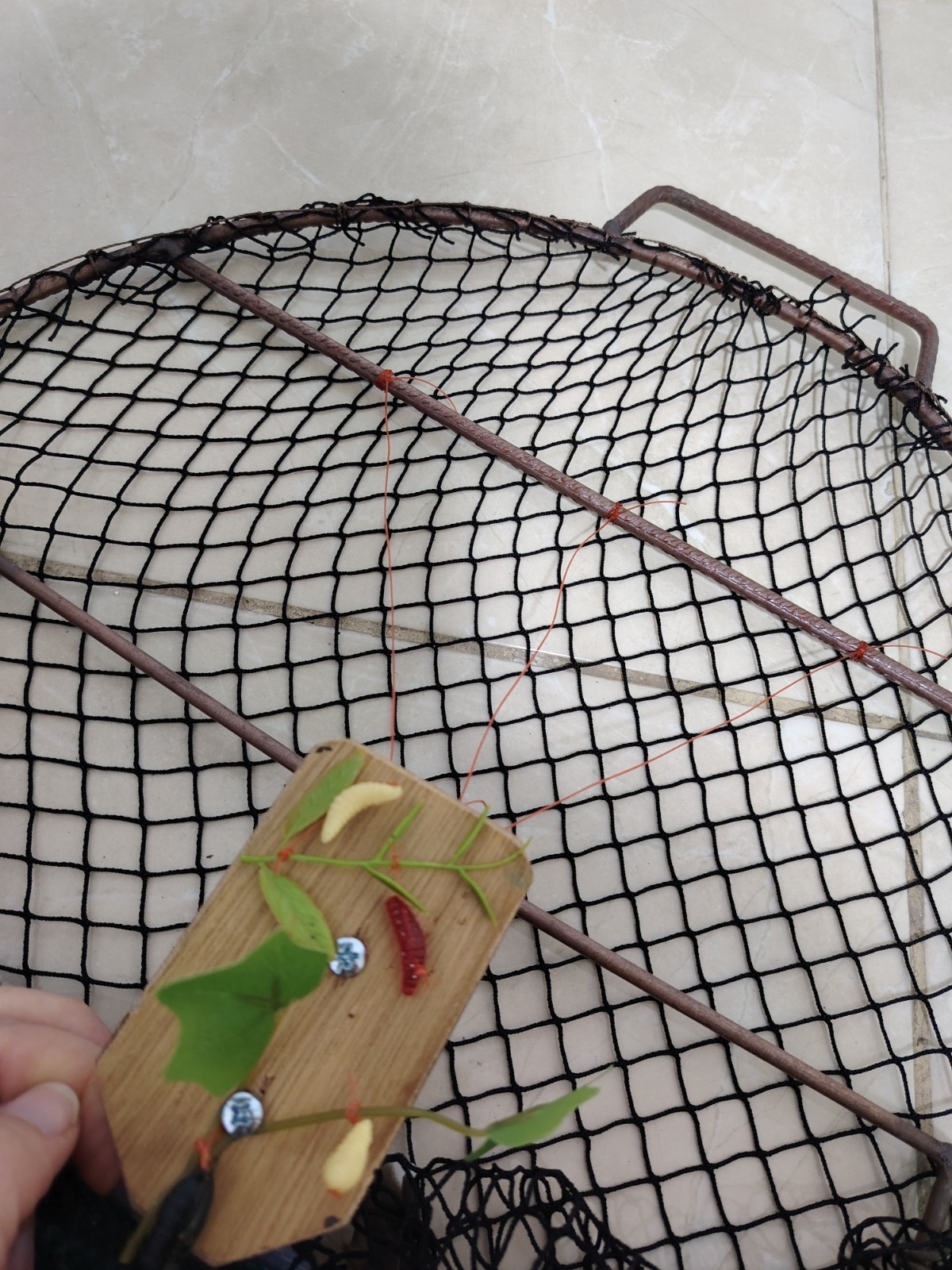 Oval Smart Bird Trap Net – Humane Catching Cage for Sparrows, Pigeons & parrot