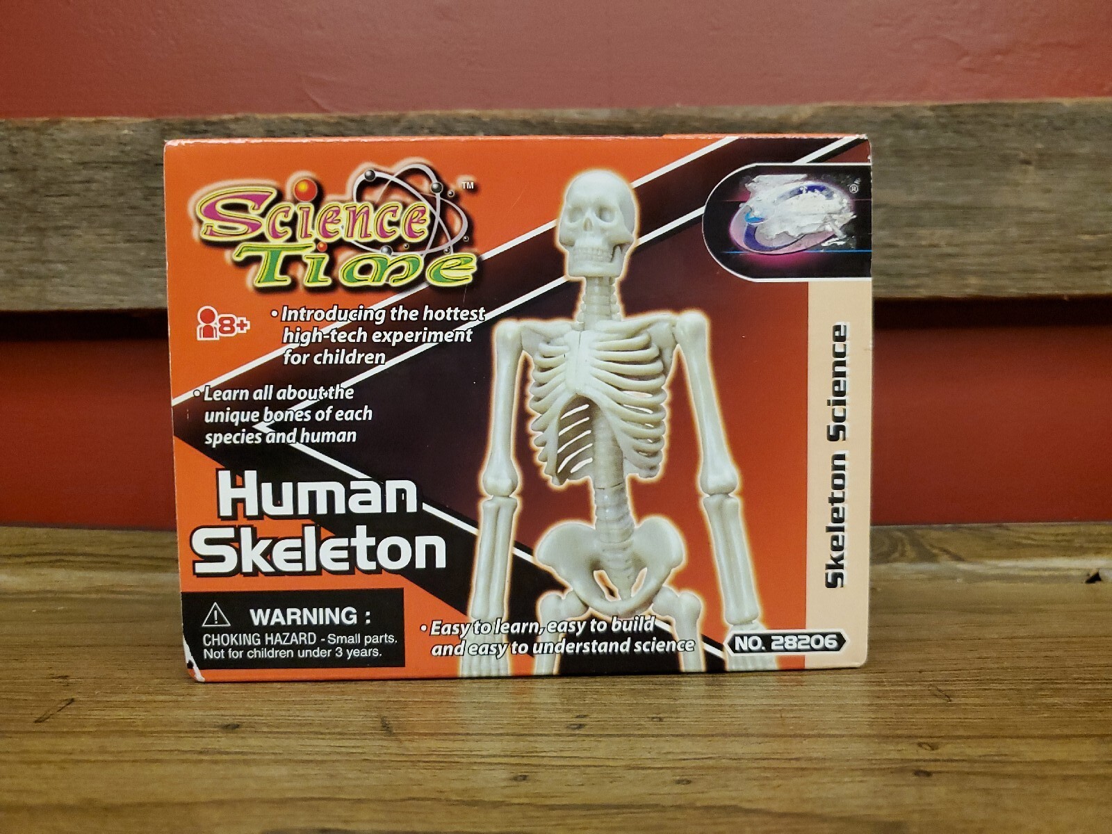 2007 SCIENCE TIME Model Kit 'HUMAN SKELETON' #28206 New In Box! *Base Included!