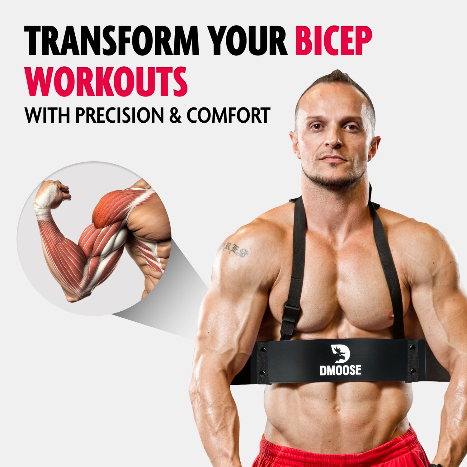 DMoose Arm Blaster for Bigger Biceps & Triceps, Isolation Training Workout