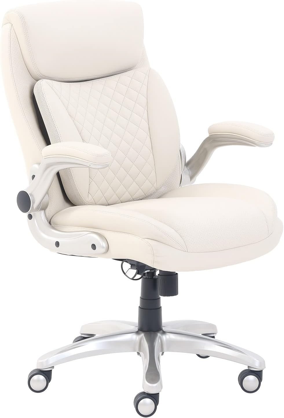 Ergonomic Executive Office Desk Chair with Lumbar Support, Flip-up Armrests