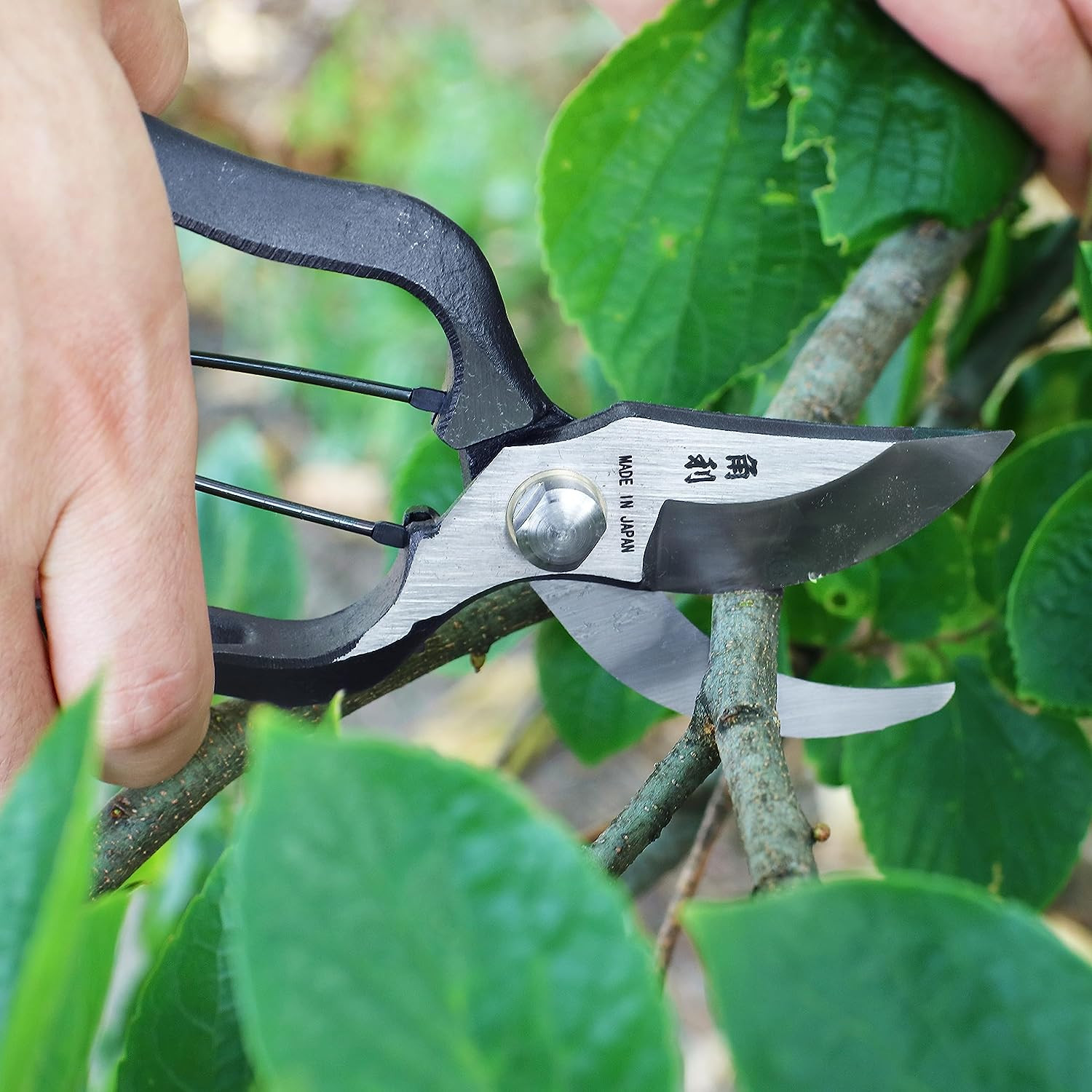 Japanese Pruning Shears for Gardening Heavy Duty 8", Made in JAPAN, Professional