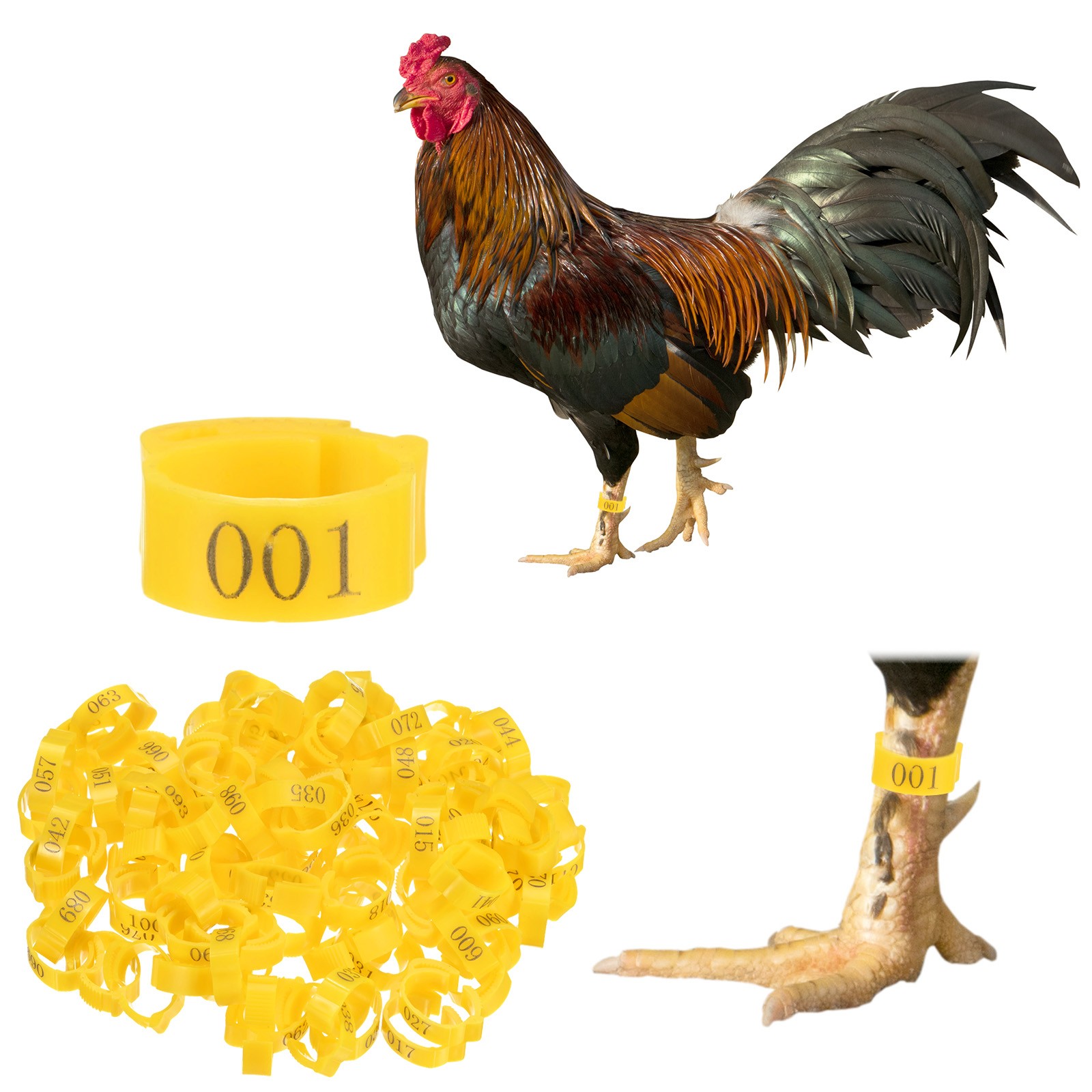 100-Pack Adjustable Chicken Leg Band, 17-22 mm Plastic Chicken Leg Ring [Yellow]