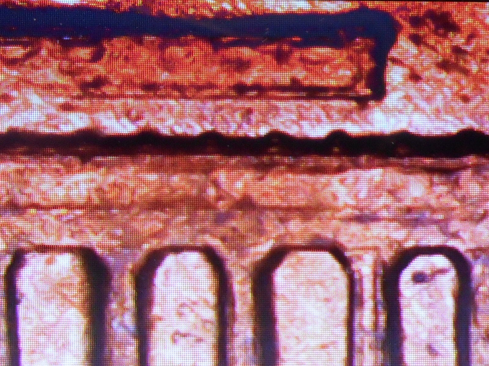 1969 d lincoln cent floating roof and errors