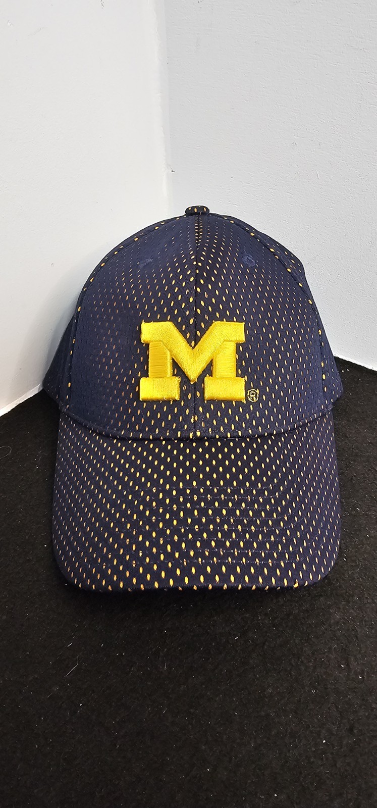 Vintage Michigan Wolverines Starter Hat