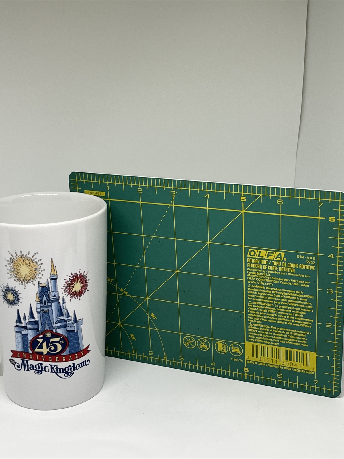 Vintage 45 Yr anniversary Magic Kingdom Starbucks mug