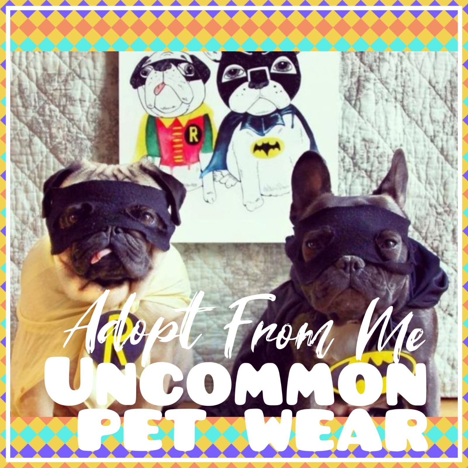 🌸Adopt (All Stuff) Today! 🌸 🌟Uncommon🌟 Cute & Cheap!🏆🥊PET WEAR🥽🎗