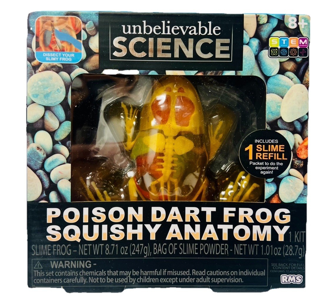 Poison Dart Frog Squishy Anatomy NEW