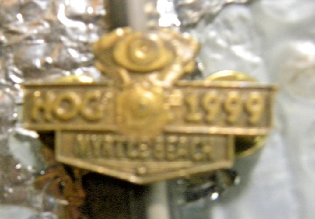 Harley Davidson HOG Myrtle Beach 1999 pin Brass Pinback