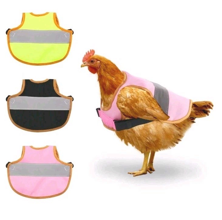 3 Reflective Chicken Harness Hen Apron Adjustable Vest Feather Protect Duck -e2