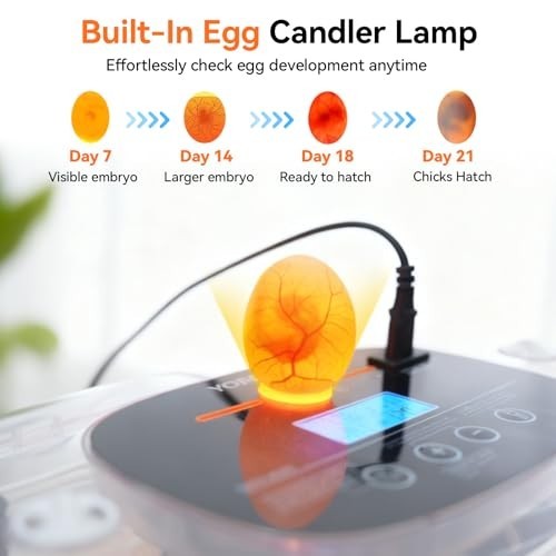 Incubators for Hatching Eggs, Egg Incubator with Automatic Egg Turning and Humid